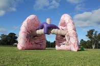 Acontecimientos inflables gigantes de la exposición de Lung Model Advertising For Medical