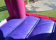 Los partidos al aire libre Juming de princesa Inflatable Bouncing Castle de Disney despiden la casa para las muchachas