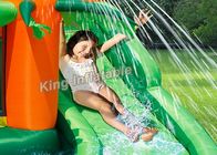 Castillo tropical del salto del centro del juego/tobogán acuático inflable para los niños en verano