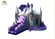 Castillo de salto inflable modificado para requisitos particulares del dragón púrpura con la diapositiva para los niños