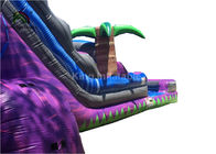 Tobogán acuático inflable del PVC del carril dual 0.6m m con la púrpura de la piscina los 30ft para el verano
