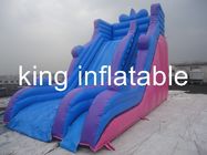 Inflables durables al aire libre secan la diapositiva con simple pero general para el parque de atracciones