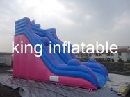 Inflables durables al aire libre secan la diapositiva con simple pero general para el parque de atracciones
