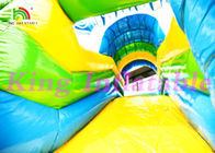 castillo de salto inflable de Multiplay de la lona del PVC de 0.55m m con los animales de la diapositiva y de mar