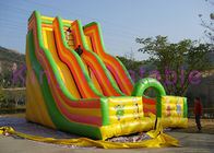 El carril doble gigante inflable seca la impresión colorida de la historieta de la diapositiva para el parque de atracciones