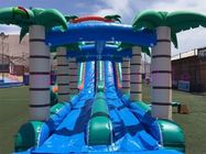 Diapositiva verde/azul del tobogán acuático inflable del PVC de los carriles dobles de la selva con la piscina