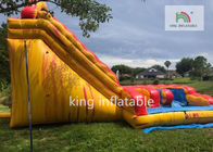 Casa seca inflable grande colorida de la despedida de S de la diapositiva/de los niños ‘con la diapositiva