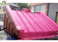 Jardín tobogán acuático inflable de la lona del PVC del PVC de 0,55 milímetros para el color rosado de los niños modificado para requisitos particulares