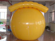 El precio del globo del aire caliente/modificó los globos de la publicidad/el globo inflables del helio para requisitos particulares