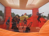 El PVC cubrió la historieta Tiger Inflatable Bouncer Castle Blow encima del castillo de salto