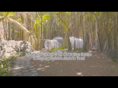 Tienda de hotel de la casa de las burbujas inflable