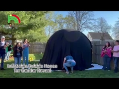 King12 Divulgación de género