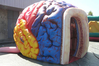 Inflatable Mega Brain Model Organs Exhibition Giant Human Big Brain Tent