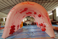 Modelo grande médico del tubo de los dos puntos del órgano humano de la publicidad del tema del acontecimiento de los pulmones inflables gigantes de encargo