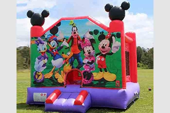 Castillos hinchables comerciales para adultos, fiesta al aire libre, venta interior, castillo hinchable para niños