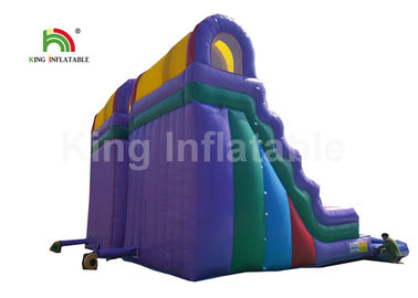 Tobogán acuático inflable doble del PVC de Platón con la piscina garantía de 1 año