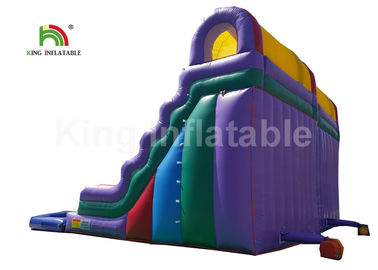 Tobogán acuático inflable doble del PVC de Platón con la piscina garantía de 1 año