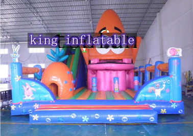 Parque de atracciones inflable colorido del PVC con la diapositiva para los niños y los adultos
