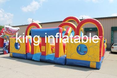Niños y tobogán acuático inflable comercial grande de los adultos con la garantía 2years