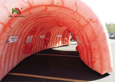 la despedida comercial de los dos puntos de los 6m del túnel inflable enorme del corazón contiene ignífugo