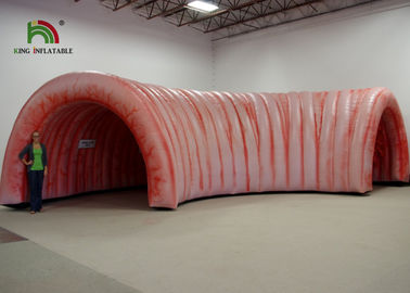 la despedida comercial de los dos puntos de los 6m del túnel inflable enorme del corazón contiene ignífugo
