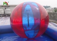 La bola humana inflable del hámster colorido del PVC/de TPU para la aguamarina parquea los juegos de pelota