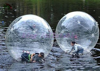 Paseo inflable de la diversión de la familia en uno mismo-soporte de la bola del agua ningún color