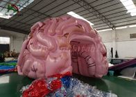 Modelo inflable modificado para requisitos particulares del cerebro de la simulación de la tienda del acontecimiento del tamaño para la demostración médica