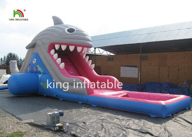 el tobogán acuático del alto tiburón de los 6m con la piscina/pequeños inflables explota la diapositiva para los niños
