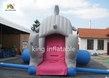 el tobogán acuático del alto tiburón de los 6m con la piscina/pequeños inflables explota la diapositiva para los niños