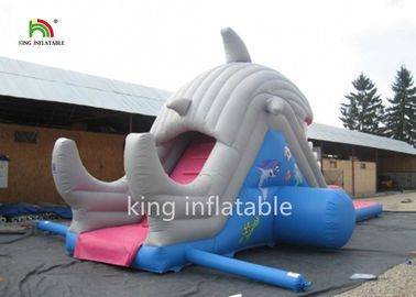 el tobogán acuático del alto tiburón de los 6m con la piscina/pequeños inflables explota la diapositiva para los niños