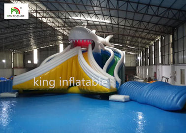 Piscina inflable de la historieta gigante con la costura doble de la diapositiva bilateral