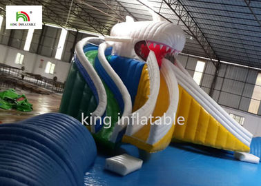 Piscina inflable de la historieta gigante con la costura doble de la diapositiva bilateral
