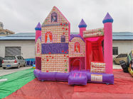 Princesa inflable Themed Jumping Castle de los niños al aire libre despide la lona del PVC de la casa