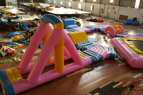 Parque inflable del agua de la diversión del rosa con la impresión en color